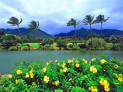 Maui Tropical Plantation, Hawaii